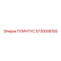5730008155 ПЛИНТУС Epiroc