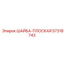 57318743 ШАЙБА-ПЛОСКАЯ Epiroc