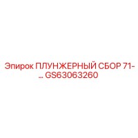GS63063260 ПЛУНЖЕРНЫЙ СБОР 71-… Epiroc