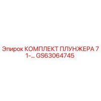 GS63064745 КОМПЛЕКТ ПЛУНЖЕРА 71-… Epiroc