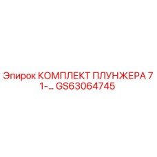 GS63064745 КОМПЛЕКТ ПЛУНЖЕРА 71-… Epiroc