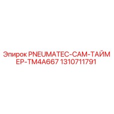 Фото таймера PNEUMATEC-CAM-TM4A667 для буровых установок Epiroc