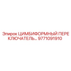 9771091910 ЦИМБИФОРМНЫЙ ПЕРЕКЛЮЧАТЕЛЬ Epiroc
