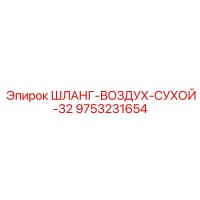 9753231654 ШЛАНГ-ВОЗДУХ-СУХОЙ-32 Epiroc