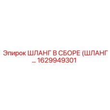1629949301 ШЛАНГ В СБОРЕ (ШЛАНГ...) Epiroc