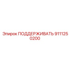 9111250200 ПОДДЕРЖИВАТЬ Epiroc