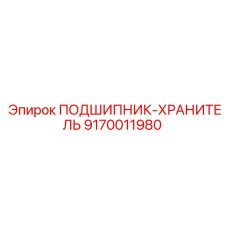 Защитный подшипниковый узел 9170011980 с лабиринтным уплотнением