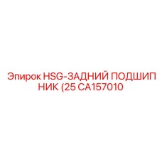 CA157010 HSG-ЗАДНИЙ ПОДШИПНИК (25) Epiroc