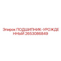 2653086849 ПОДШИПНИК-УРОЖДЕННЫЙ Epiroc
