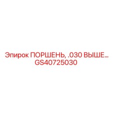 GS40725030 ПОРШЕНЬ, .030 ВЫШЕ… Epiroc