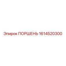 1614520300 ПОРШЕНЬ Epiroc