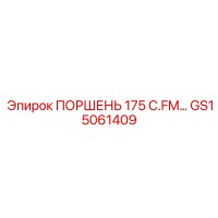 GS15061409 ПОРШЕНЬ 175 C.FM | Epiroc