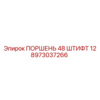 8973037266 ПОРШЕНЬ 48 ШТИФТ 12 Epiroc