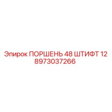 8973037266 ПОРШЕНЬ 48 ШТИФТ 12 Epiroc