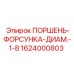 1624000803 ПОРШЕНЬ-ФОРСУНКА-ДИАМ.-1-8 Epiroc