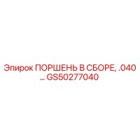 GS50277040 ПОРШЕНЬ В СБОРЕ .040… Epiroc