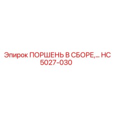HC5027-030 ПОРШЕНЬ В СБОРЕ,… Epiroc