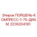 2236204161 ПОРШЕНЬ-КОМПРЕСС-1-75-ДИАМ. Epiroc