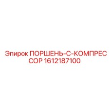 1612187100 ПОРШЕНЬ-C-КОМПРЕССОР Epiroc