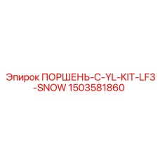 1503581860 ПОРШЕНЬ-C-YL-KIT-LF3-SNOW Epiroc