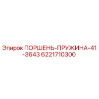 6221710300 ПОРШЕНЬ-ПРУЖИНА-41-3643 Epiroc