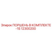 12300200 ПОРШЕНЬ В КОМПЛЕКТЕ-1S Epiroc