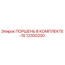 12300200 ПОРШЕНЬ В КОМПЛЕКТЕ-1S Epiroc