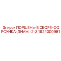 1624000981 ПОРШЕНЬ-В СБОРЕ-ФОРСУНКА-ДИАМ.-2-3 Epiroc