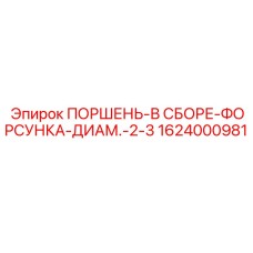 1624000981 ПОРШЕНЬ-В СБОРЕ-ФОРСУНКА-ДИАМ.-2-3 Epiroc