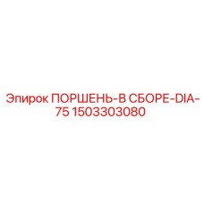 1503303080 ПОРШЕНЬ-В СБОРЕ-DIA-75 Epiroc