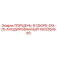1503304580 ПОРШЕНЬ-В СБОРЕ-DIA-75-АНОДИРОВАННЫЙ Epiroc