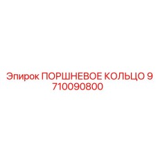 9710090800 ПОРШНЕВОЕ КОЛЬЦО Epiroc