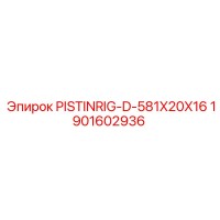 1901602936 PISTINRIG-D-581X20X16 Epiroc