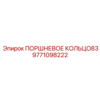 9771098222 ПОРШНЕВОЕ КОЛЬЦО83 Epiroc