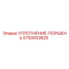 5750053825 УПЛОТНЕНИЕ-ПОРШЕНЬ Epiroc
