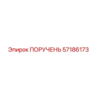 57186173 ПОРУЧЕНЬ Epiroc