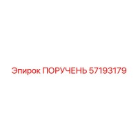 57193179 ПОРУЧЕНЬ Epiroc