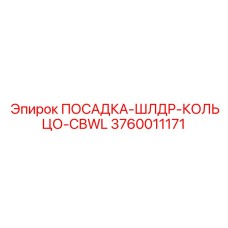 3760011171 ПОСАДКА-ШЛДР-КОЛЬЦО-CBWL Epiroc
