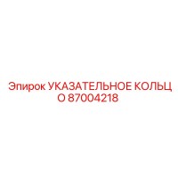 87004218 УКАЗАТЕЛЬНОЕ КОЛЬЦО Epiroc