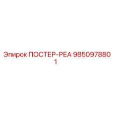 9850978801 ПОСТЕР-РЕА Epiroc