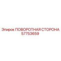 57753659 ПОВОРОТНАЯ СТОРОНА Epiroc