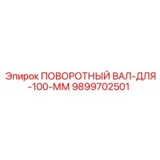 9899702501 ПОВОРОТНЫЙ ВАЛ-ДЛЯ-100-ММ Epiroc