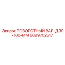 9899702517 ПОВОРОТНЫЙ ВАЛ-ДЛЯ-100-ММ Epiroc