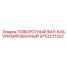 9753231322 ПОВОРОТНЫЙ ВАЛ-КАБУРИЗИРОВАННЫЙ Epiroc