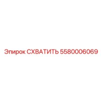 5580006069 СХВАТИТЬ Epiroc