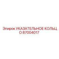 87004017 Указательное кольцо Epiroc