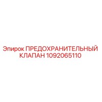 1092065110 ПРЕДОХРАНИТЕЛЬНЫЙ КЛАПАН (Epiroc)