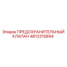 4812315894 ПРЕДОХРАНИТЕЛЬНЫЙ КЛАПАН Epiroc