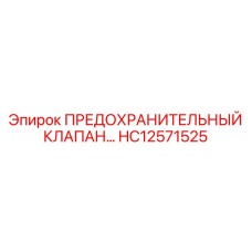HC12571525 ПРЕДОХРАНИТЕЛЬНЫЙ КЛАПАН Epiroc