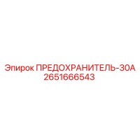 2651666543 ПРЕДОХРАНИТЕЛЬ-30А Epiroc